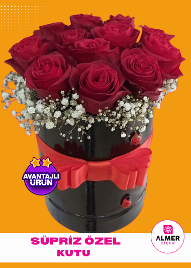 Parlak Kutu Gül