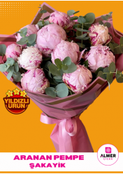 Pembe Şakayık
